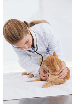 NeoFipronis（Pronidesivir）