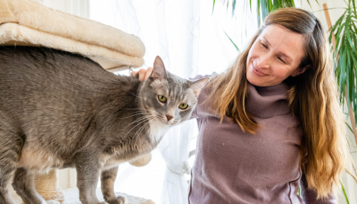 Should You Seek a Second Opinion for Suspected FIP