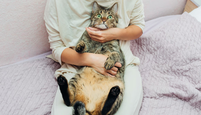 How do you get wet FIP