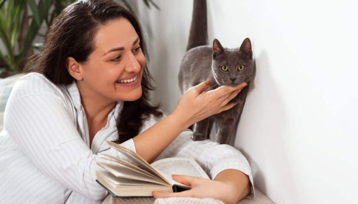 Clinical Pathway for Treating Feline Infectious Peritonitis (FIP)