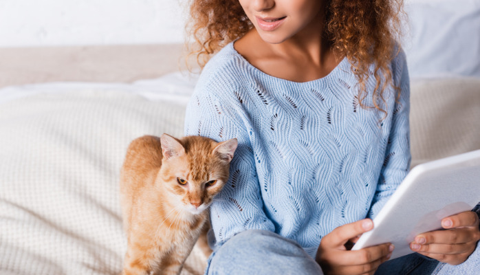 How Often Should You See the Vet During FIP Treatment