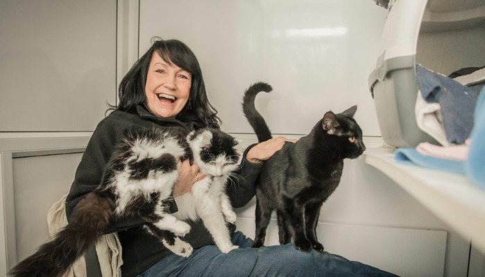 Daily Changes Most Indicative of FIP in Cats