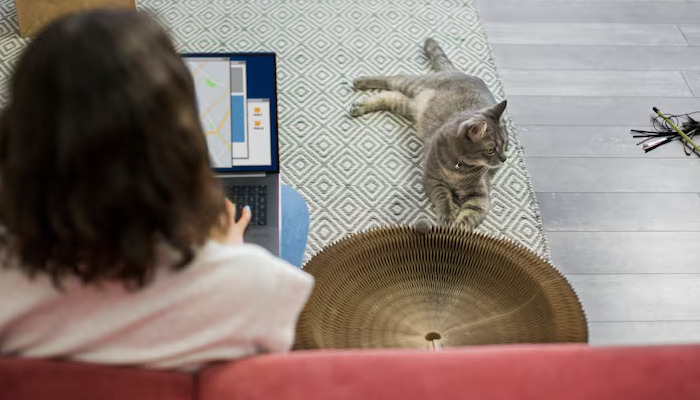 Is There a Gold Standard Test for Diagnosing FIP