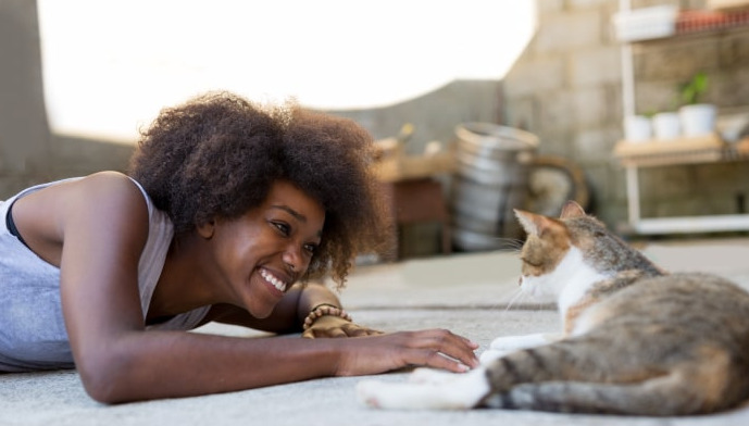 How Much Do FIP Diagnostic Tests Usually Cost