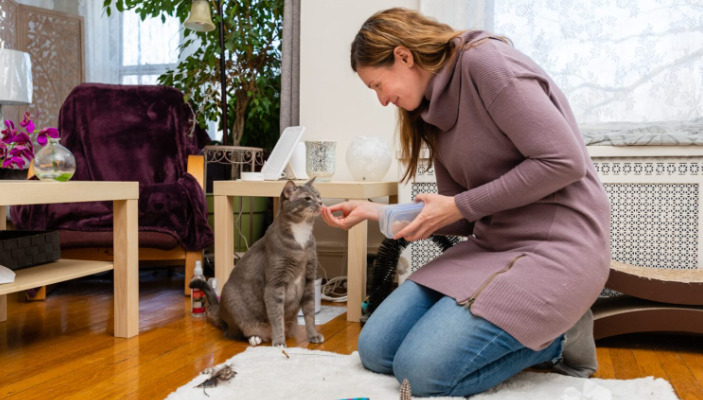 Why Consistency Is Critical in FIP Treatment