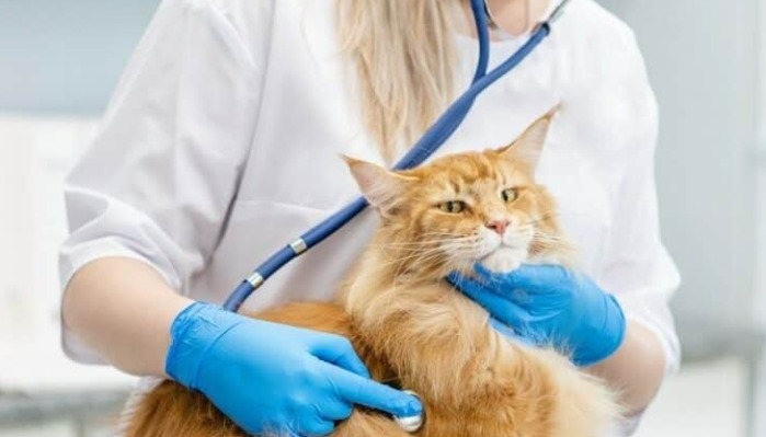 Is Unsteady Walking a Sign of FIP