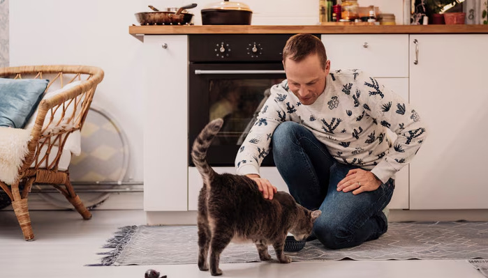 Can Long-Term Daily Care Help Prevent FIP