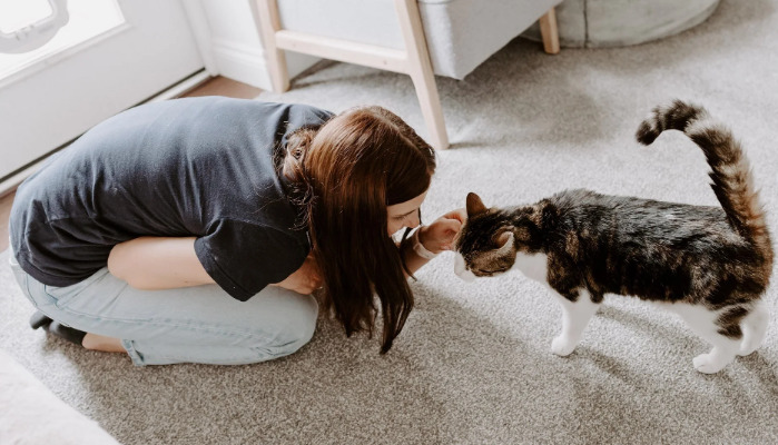 Causes and symptoms of FIP