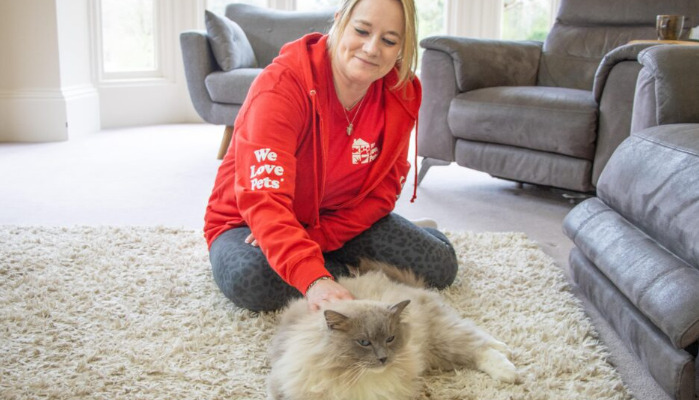 How to Reduce the Risk of FIP in Indoor Cats