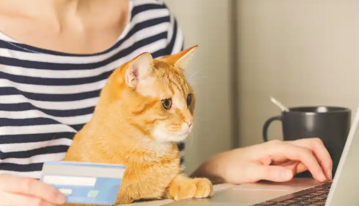 Can Dry FIP Be Treated Successfully