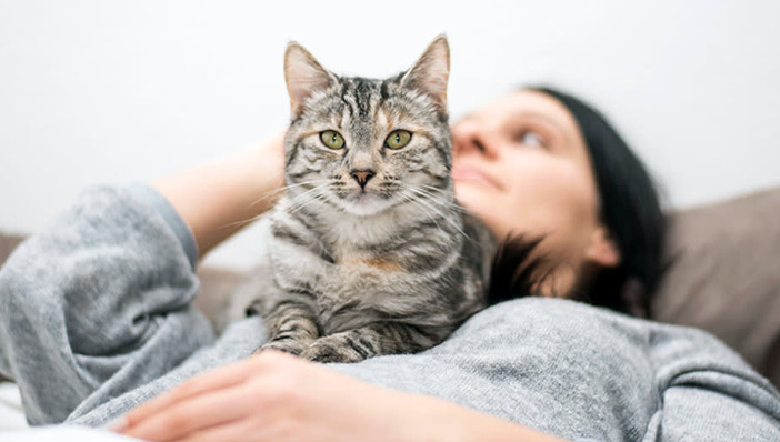 Why Prevention Focuses on Risk Reduction, Not Guarantees