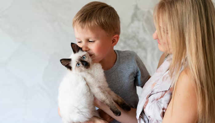 Immune Support For FIP Cats