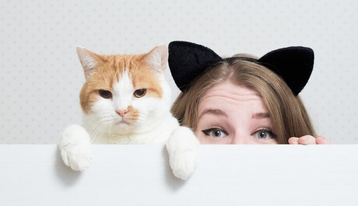 Are There Differences in FIP Diagnosis Between Large and Small Cities