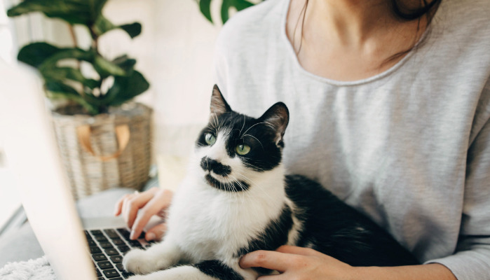 How to Prevent FIP Symptoms