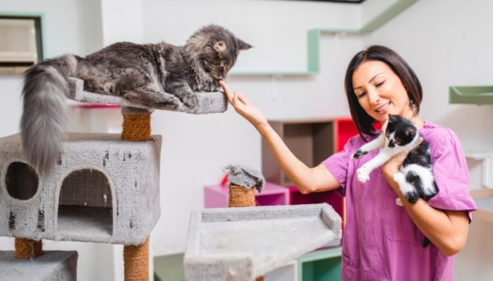 What Do High Inflammatory Markers Suggest in FIP