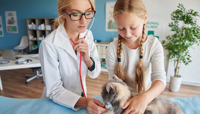 Is It Feasible to Treat and Confirm FIP At the Same Time