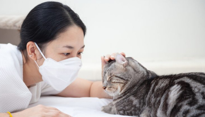 How to Avoid FIP After Owning Cats for M