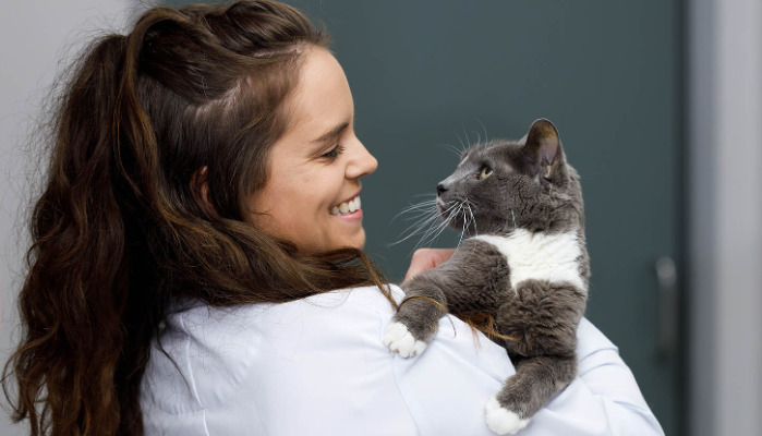 How to prevent cats from getting FIP