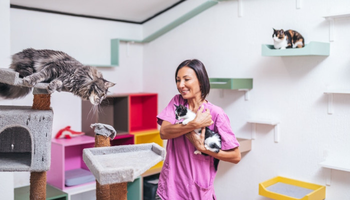 FIP Breathing Problems in Cats
