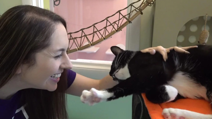 What Should Be Noted After FIP Treatment