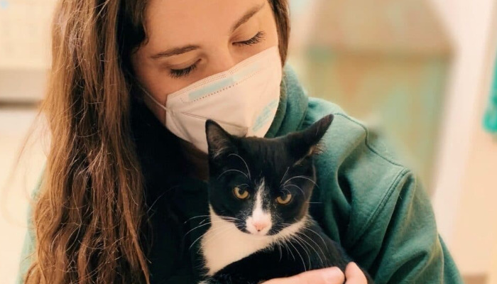 How long does it take for ascites to disappear after FIP medication