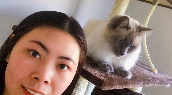 What Is the Relationship Between Stress and FIP