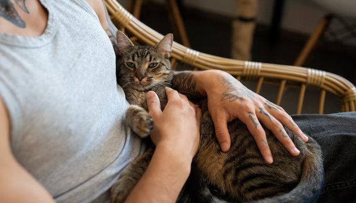 What Feeding Habits May Help Lower FIP Risk