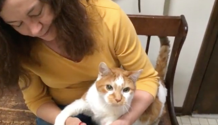 The simplest way to diagnose FIP