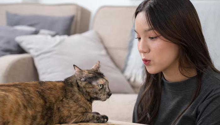 Does a cat with FIP experience pain