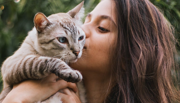 Why NeoFipronis Is Gaining Attention Among Cat Owners