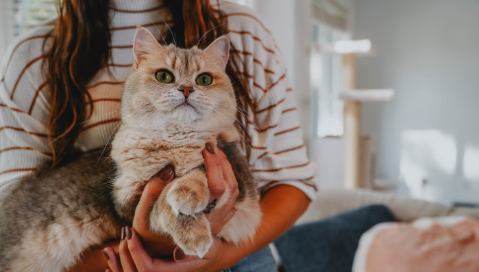 Is Treating FIP Still Worthwhile Today