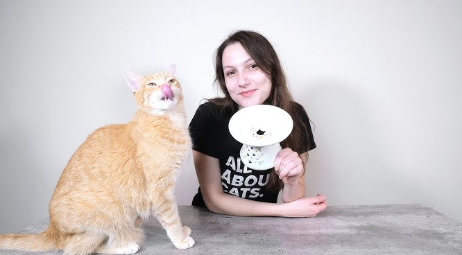 How Should Owners Adjust Their Mindset During Suspected FIP