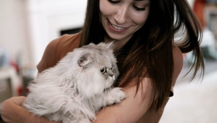 Is It Dangerous to Stop FIP Medication Midway Through Treatment