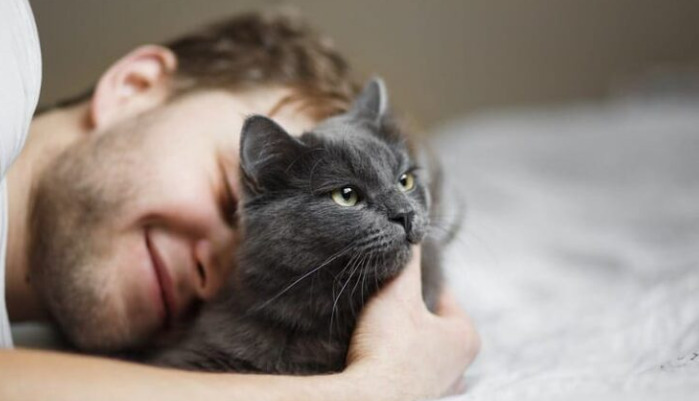 How to Relieve Late-stage FIP Seizures
