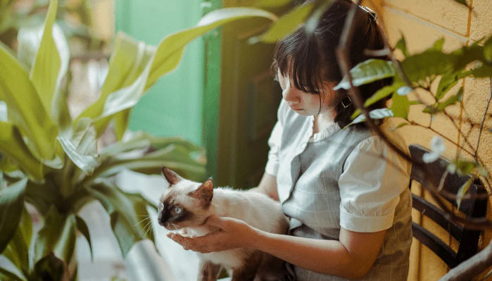 What foods are suitable for cats with FI