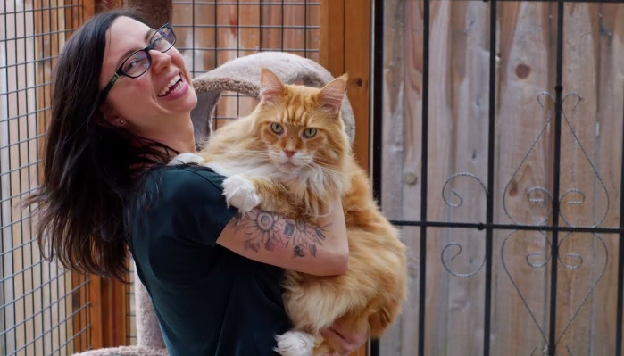 Can I Change My Cat’s Diet During FIP Treatment