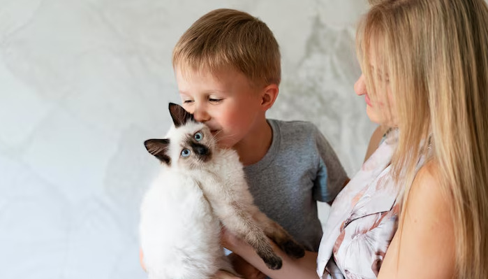 Can Frequent Illness Increase the Risk of FIP