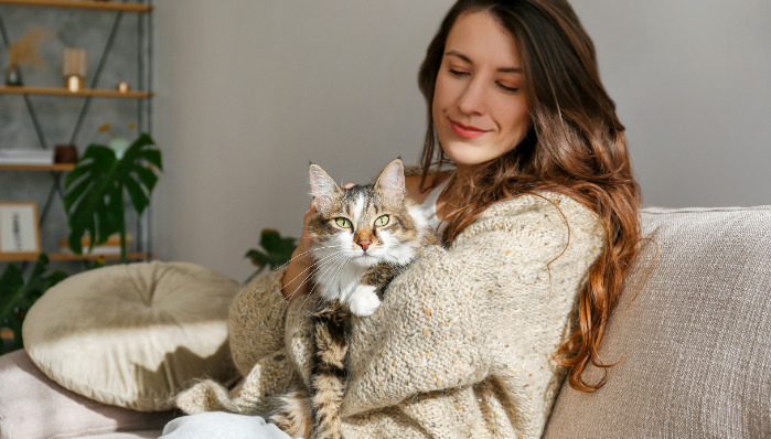 GS-441524 oral tablets for FIP cats
