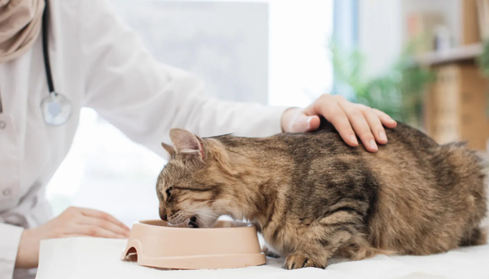 What Should Owners Do While Waiting for FIP Test Results