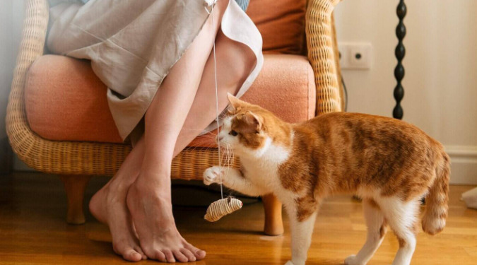 Common Questions About GS-441524 For FIP