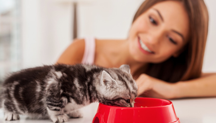 Can Learning About FIP in Advance Reduce the Risk