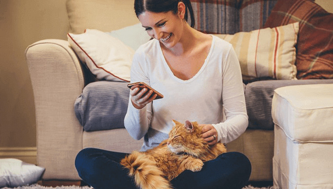 Is Long-Term Soft Stool a Symptom of FIP