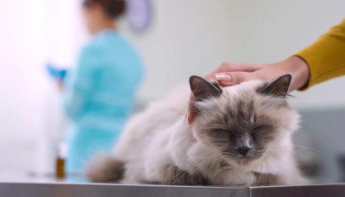 Does Delayed Treatment Mean No Chance of Recovery