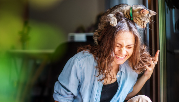 Does FIP Cause Chronic Diarrhea or Soft Stool