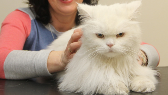 Should Sudden Behavioral Changes Raise Concern for FIP