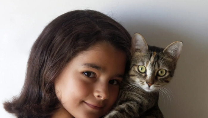 FIP Treatment For Cats