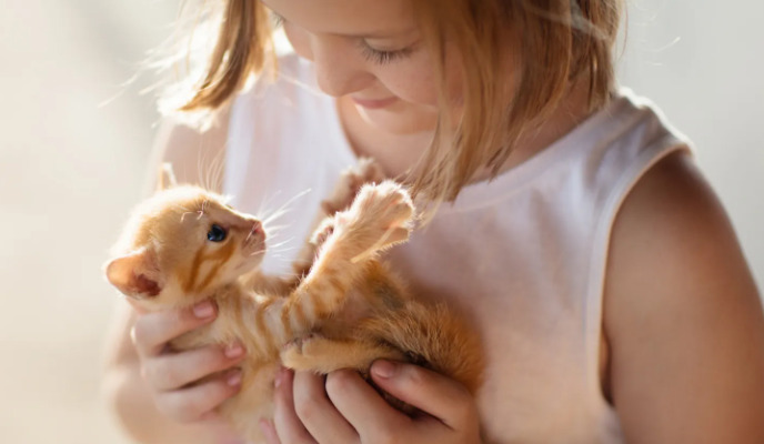 Can FIP Symptoms Suddenly Worsen