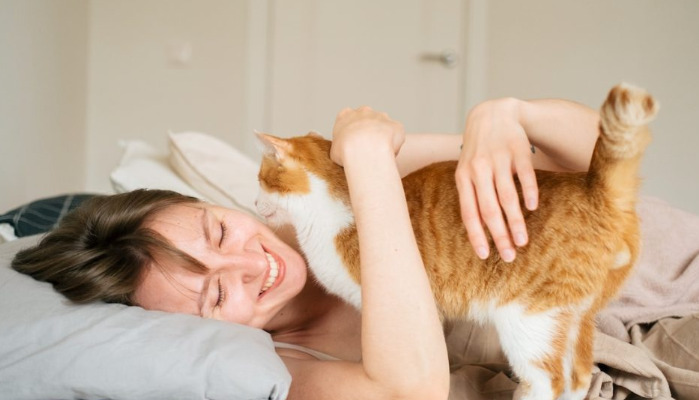 Does FIP Cause Sudden Loss of Appetite in Cats