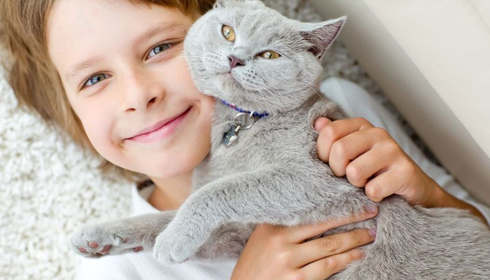 FIP vaccination strategies