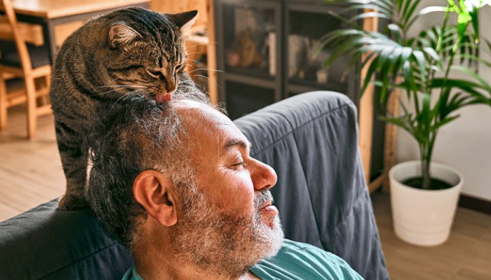 Is FIP prone to recurrence